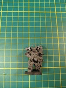 Chaos Marine, Niepomalowany