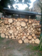 Drzewo opałowe sosna