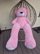 MIŚ MASKOTKA GIGANTYCZNY!