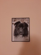 Portret pupila na zamówienie