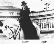 IWONA BIELSKA fotografia, duży fotos film WILCZYCA Piestrak 24x30