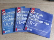 Słownik języka polskiego PWN [3xCD]