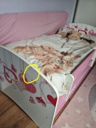 Łóżko dziecięce z szufladą 80x160