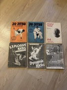 Advanced Explosive Dynamic Kicks Książka książki ju-jitsu Chong Lee karate