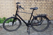 Rower Batavus Escala N8 H57
