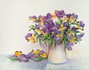 akwarela bratki kwiaty