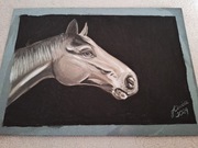 Rysunek Konia Angielskiej Rasy Ciepłokrwistej - Ręcznie Wykonany węglem