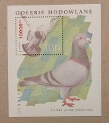 Blok 156 Fi: 3367** Gołębie hodowlane.