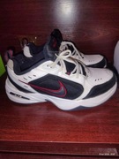 Nike Air Monarch IV