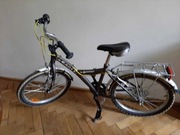 Rower młodzieżowy Go-Sport Eagle 20