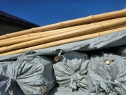 Tyczki bambusowe 295 cm 28/30 PODPORA DRZEW MOCNE!