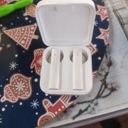 Mi TW earphones 2c