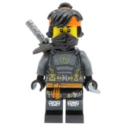 Cole lego Ninjago Island