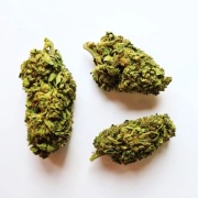 10G CBD SUPER LEMON HAZE <4.4% CERTYFIKAT JAKOŚĆI 