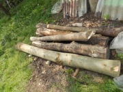 Drewno użytkowe bale kłody jesion, orzech *LUBLIN*