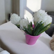 Bukiet 3 białych czosnków - przepiękne kwiaty jak żywe.