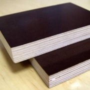 Sklejka topolowa szalunkowa szalunki Wrocław strop