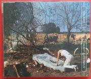 TORI AMOS Caught a Little Sneeze