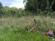 Koszenie, karczowanie, przycinanie Goleniów Szczecin Nowogard Stargard