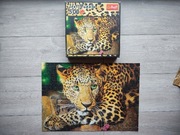 Puzzle trefl 500 dziki lampart pantera