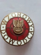 Wzorowy dowódca 