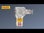 Gazex Dwuprogowy detektor gazu ziemnego DEX-12/N-10/30 DEX-12/N