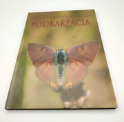 Motyle i trzmiele Podkarpacia