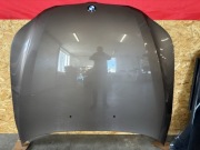 Maska pokrzywy silnika