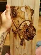 Koń arab wypalany w świerku 