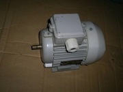 Silnik elektryczny asynchroniczny