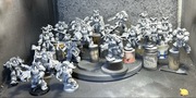 Terminatorzy Space Wolves/Kosmiczne wilki - Proksy