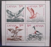 Fauna zwierzęta ptaki Litwa