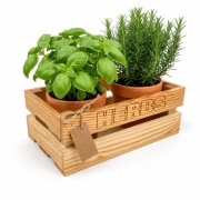 Drewniana Skrzynka na Zioła Kwiaty HERBS Grawerowana Premium
