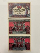 Zestaw Notgeldów Zielona Góra Grunberg 1921 rok UNC