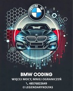 Oferuję profesjonalne kodowanie i programowanie BMW (serii F i G)