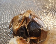 Czosnek  czarny 1kg MANUFAKTURA fermentacja  bieżąca  z własnej plantacji. 