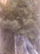 Choinki Cięte Świerk Srebrny/Pospolity hurt/detal z wł.plant. dowóz