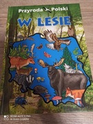 Przyroda Polski w lesie