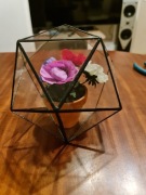 NOWA! Doniczka geometryczna szklarenka Prezent, Ozdoba, Wyposażenie wnętrz