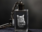 Chartreux brelok sześcienny Świecący