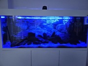 Akwarium Aquael Opti Set 240 l