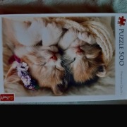 Puzzle koty