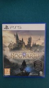 Dziedzictwo hogwartu ps5
