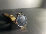 ZEGAREK DAMSKI DANIEL WELLINGTON DW00100347 - PETITE EVERGOLD 32mm (zw500e)