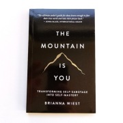 The Mountain Is You - Brianna Wiest