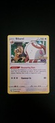 Pokemon Go Bibarel 60/78