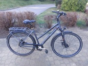 Rower Pegasus Opero SL 28" rama 50cm Alifine8 biegów