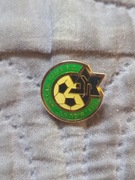 Odznaka Maccabi Haifa
