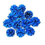 Polskie naturalne SZYSZKI SOSNOWE Florystyka Dekor Stroik 12 szt. niebieski