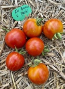 Pomidor nasiona kolekcjonerskie De Barao w paski